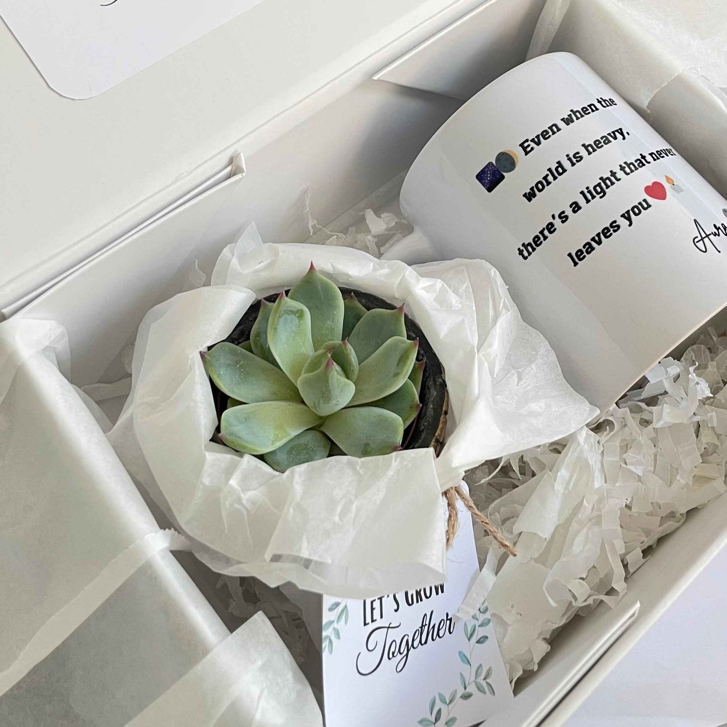 Coffret “Fleurir de Bonheur” Mug Personnalisé & Plante Succulente
